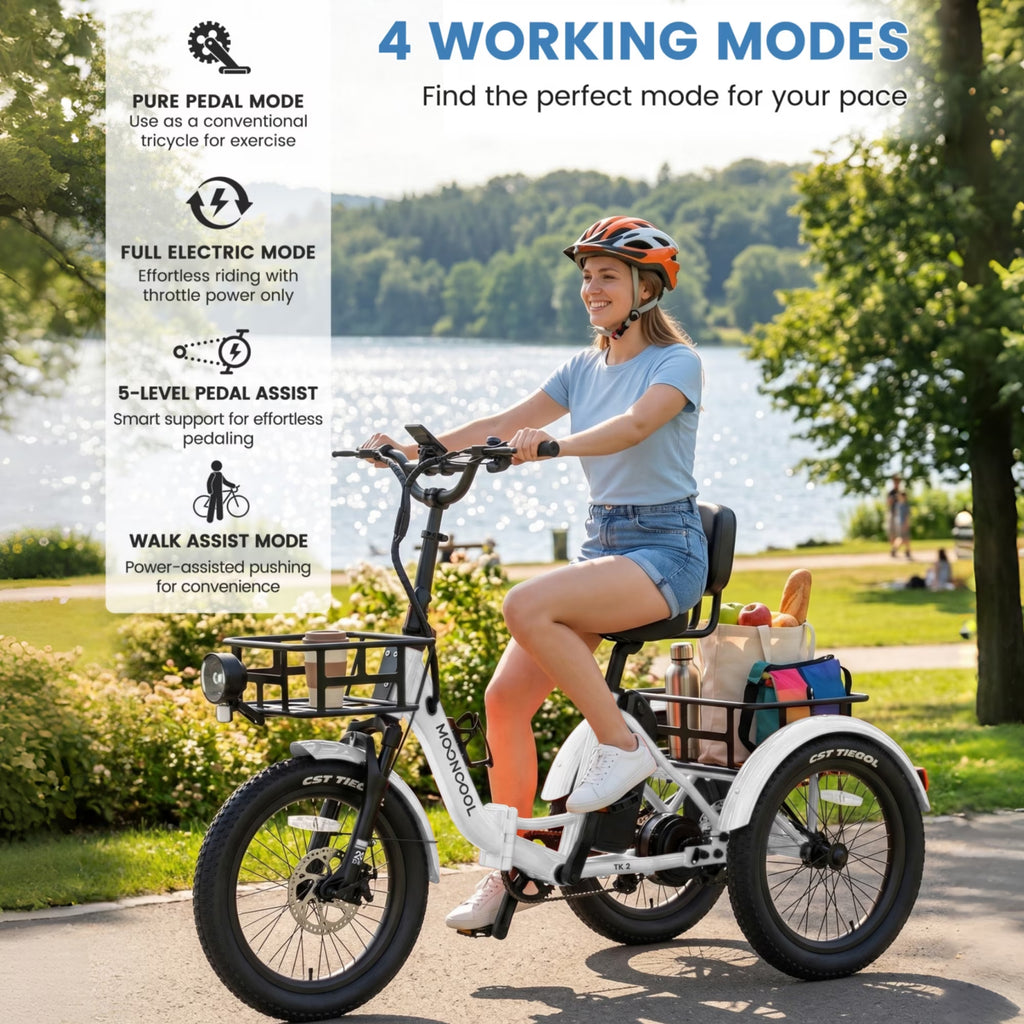 TK2 Adult Electric Tricycle with Reverse, 48V 15Ah Removable Battery, Peak 1000W Motor, 20X3.0" Fat Tire, 60-Mile Range, 15.5 MPH