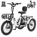 TK2 Adult Electric Tricycle with Reverse, 48V 15Ah Removable Battery, Peak 1000W Motor, 20X3.0" Fat Tire, 60-Mile Range, 15.5 MPH
