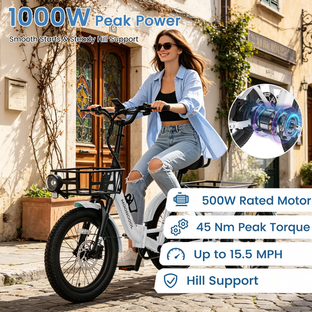 TK2 Adult Electric Tricycle with Reverse, 48V 15Ah Removable Battery, Peak 1000W Motor, 20X3.0" Fat Tire, 60-Mile Range, 15.5 MPH