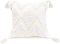 Boho White Throw Pillow Cover 18X18 Inch with Tassels, Moroccan Tufted Decorative Cream Chenille Fabric Accent Textured Cushion Case for Bed Couch, 1 PC