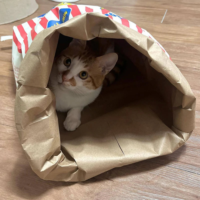 Creative Cute Hidden Food Pet Cat and Dog Kraft Paper Popcorn Paper Bag Puzzle Decompression Sound Chew Dog Toy