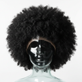 Crown Jewel Kinky Coily Wig