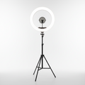 LED Ring Light with Tripod Stand